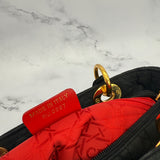 Dior Medium Nylon Lady Dior