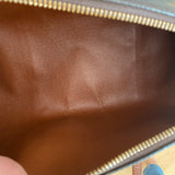 Louis Vuitton Papillon