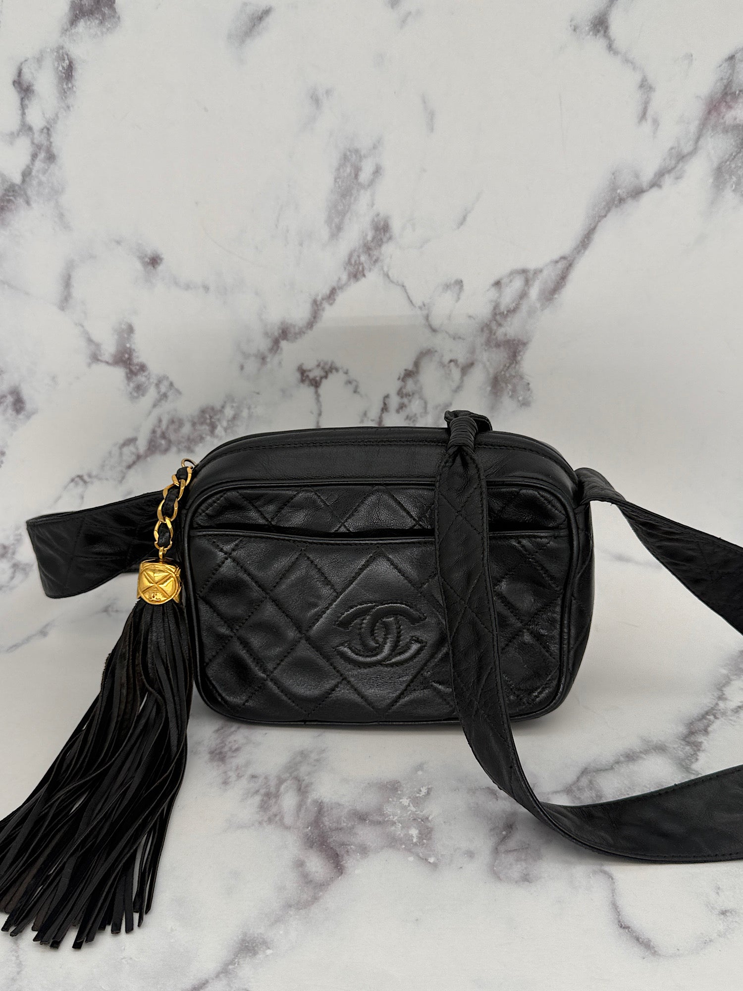 Rare Chanel Small Camera Bag