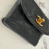 Chanel Timeless Bicolor Belt Bag