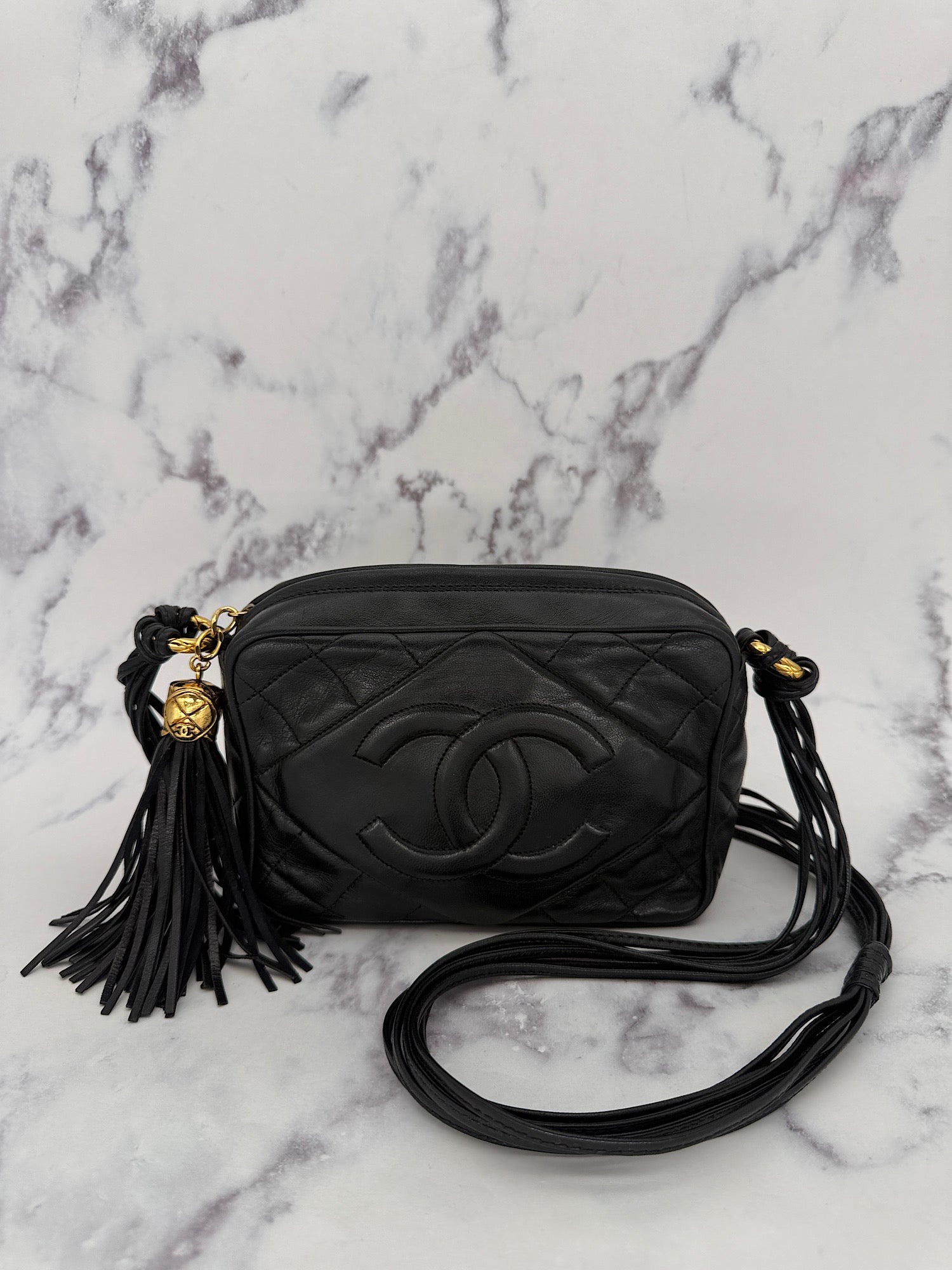 Rare Chanel Logo Camera Bag