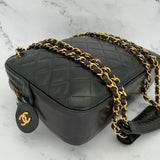 Chanel Iconic Camera Bag with Chains