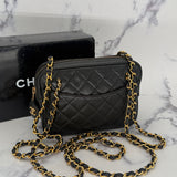 Chanel Matelasse Lambskin leather Camera Bag