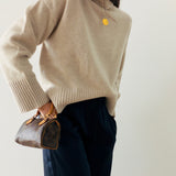 Louis Vuitton Mini Speedy