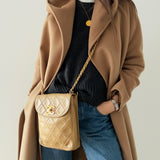 Rare Chanel Turnlock Crossbody Bag in Beige