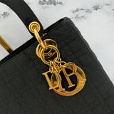 Dior Medium Lady Dior in Nylon