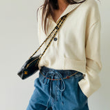 Chanel Iconic Camera Bag with Double Chain