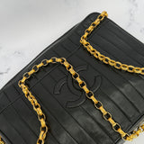 Chanel Mademoiselle Camera Bag